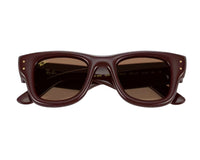 Ray Ban Wayfarer Puffer RB4940 Sunglasses