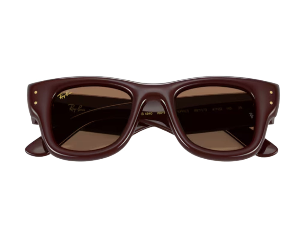 Ray Ban Wayfarer Puffer RB4940 Sunglasses
