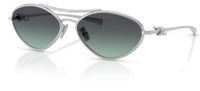 Tiffany & Co TF3117 Sunglasses