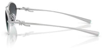 Tiffany & Co TF3117 Sunglasses