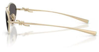 Tiffany & Co TF3117 Sunglasses