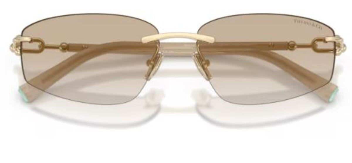 Tiffany & Co TF3114 Sunglasses