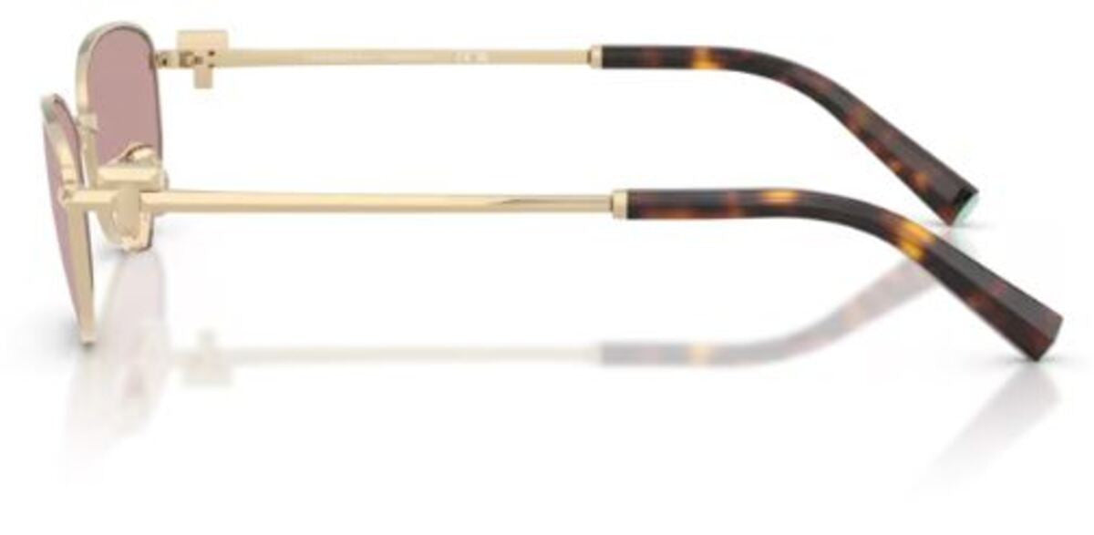 Tiffany & Co TF3115 Sunglasses