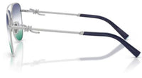 Tiffany & Co TF3116 Sunglasses