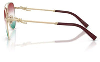 Tiffany & Co TF3116 Sunglasses