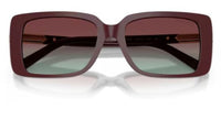 Tiffany & Co TF4249 太陽眼鏡