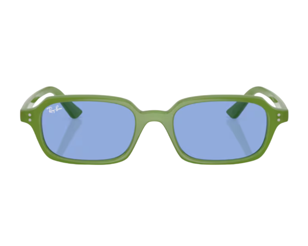 Ray-Ban Zuri RB4455 Sunglasses