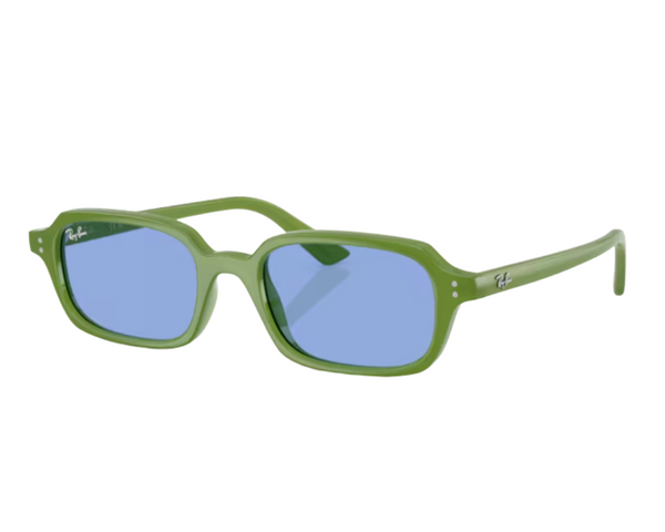 Zonnebrillen Ray-Ban Zuri RB4455