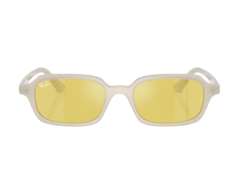 Ray-Ban Zuri RB4455 Sunglasses
