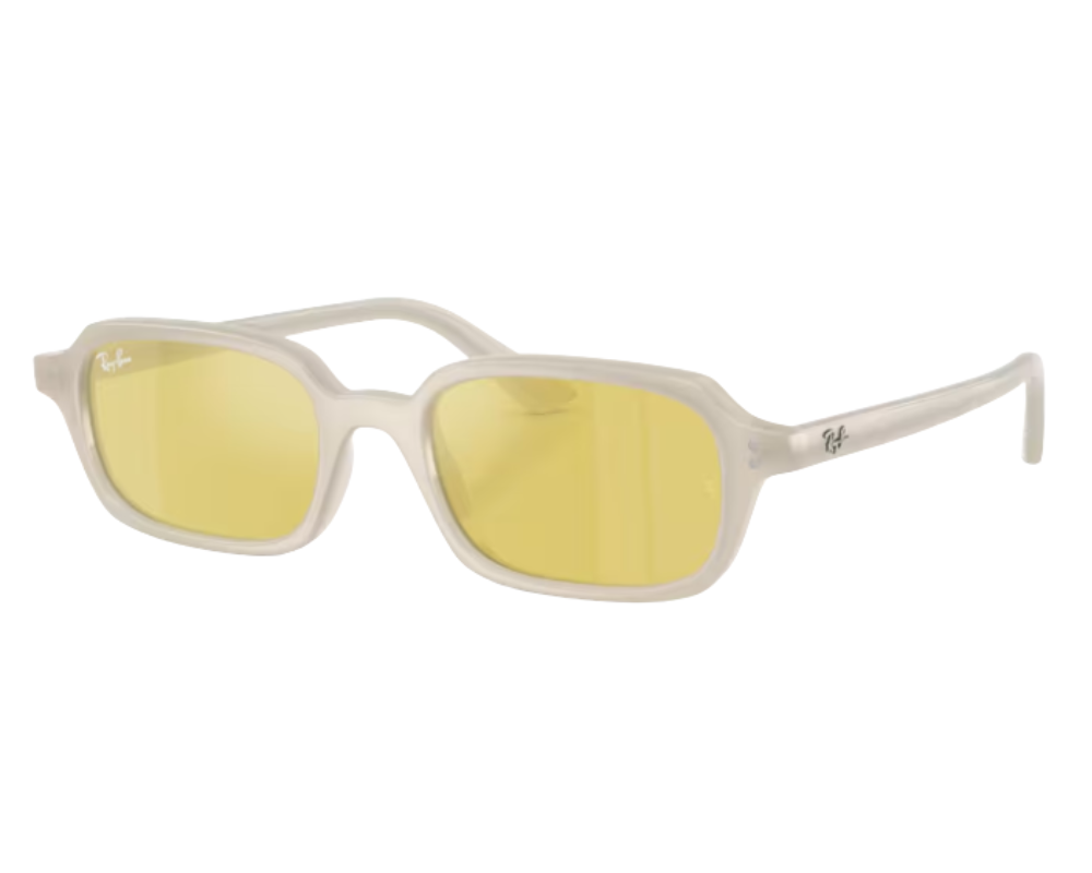 Ray-Ban Zuri RB4455 Sunglasses