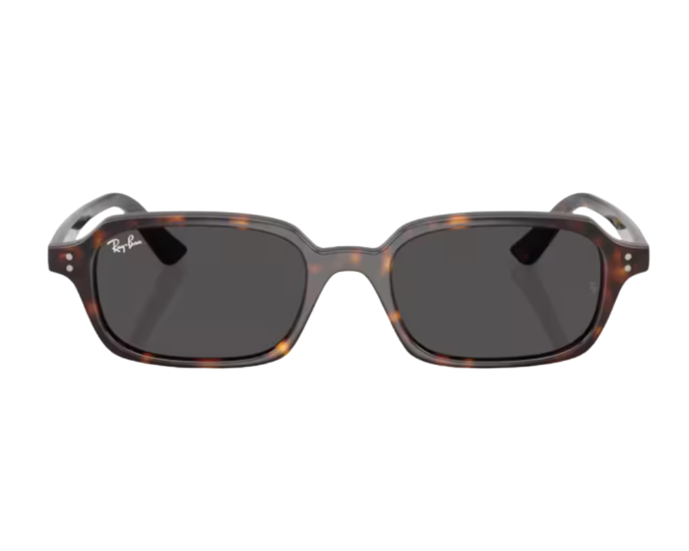 Ray-Ban Zuri RB4455 Sunglasses