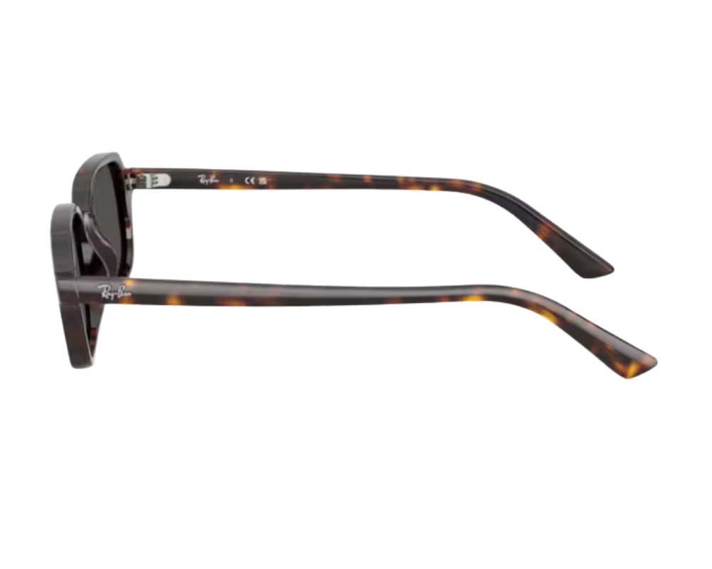 Ray-Ban Zuri RB4455 Sunglasses