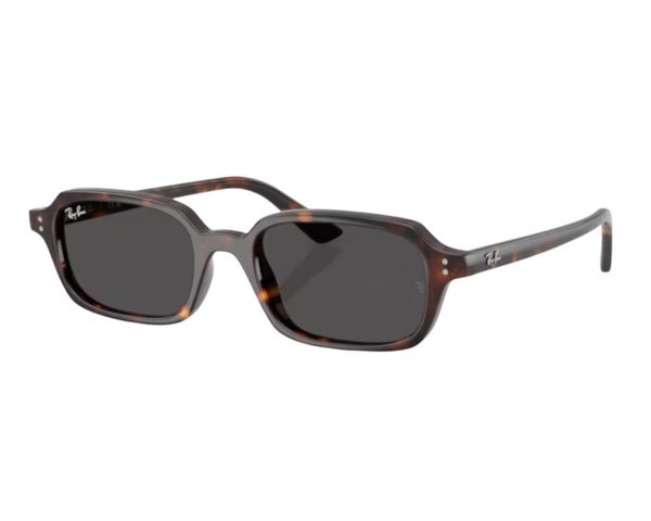 Zonnebrillen Ray-Ban Zuri RB4455