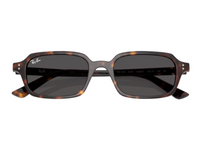 Ray-Ban Zuri RB4455 Sunglasses
