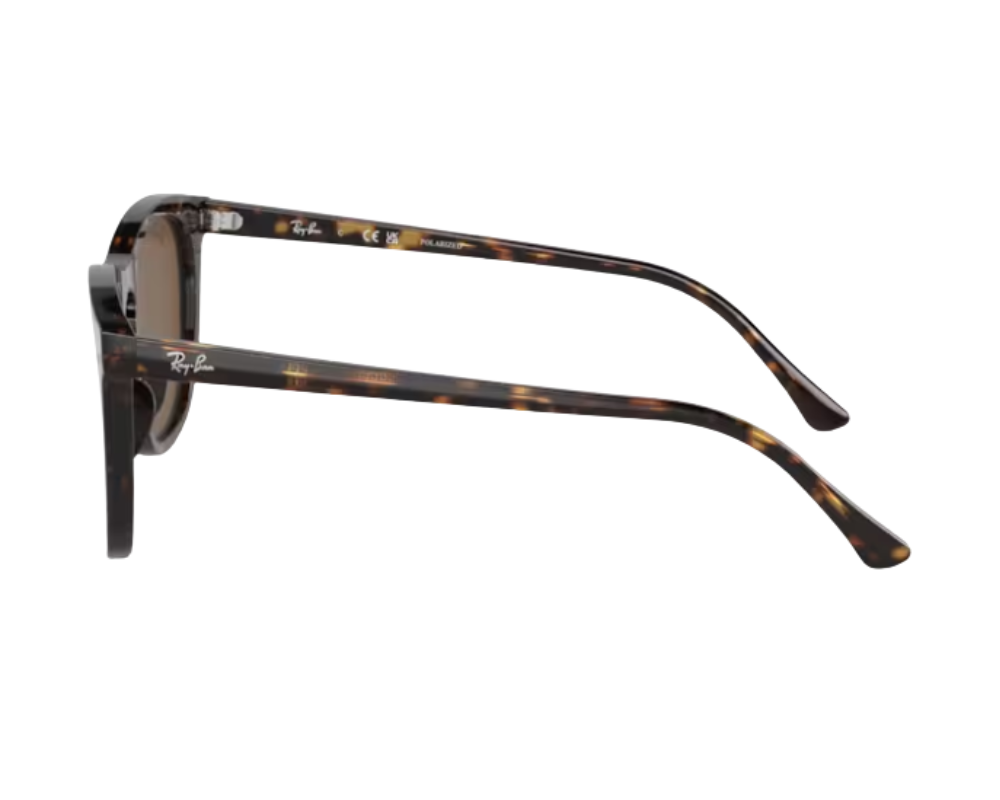 Ray-Ban RB2210 Sunglasses