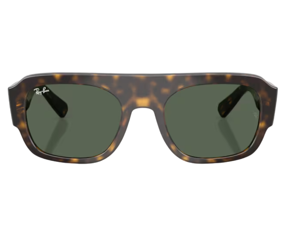 Ray-Ban RB2218 Sunglasses