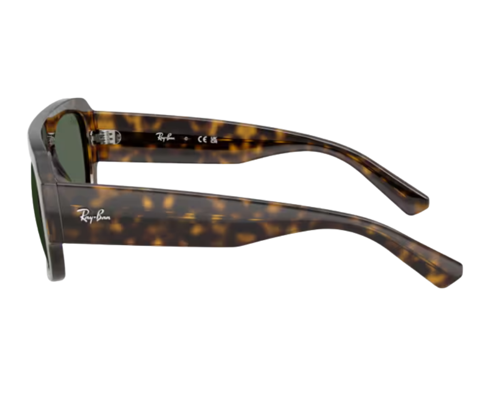 Ray-Ban RB2218 Sunglasses