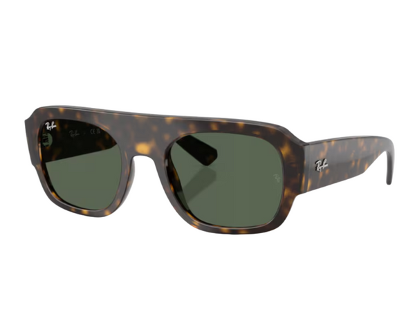 Ray-Ban RB2218 Sunglasses