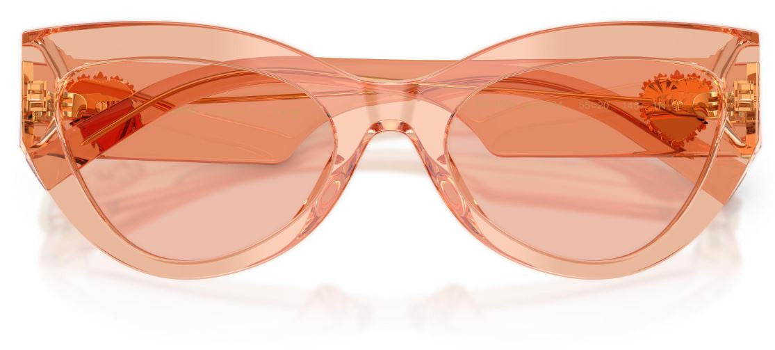Gafas de Sol Dolce & Gabbana DG4536