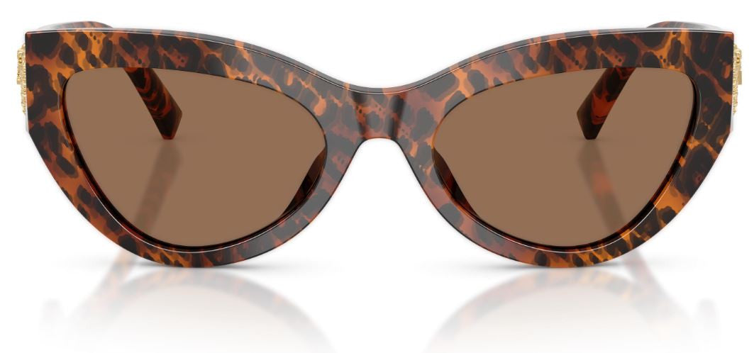Gafas de Sol Dolce & Gabbana DG4536