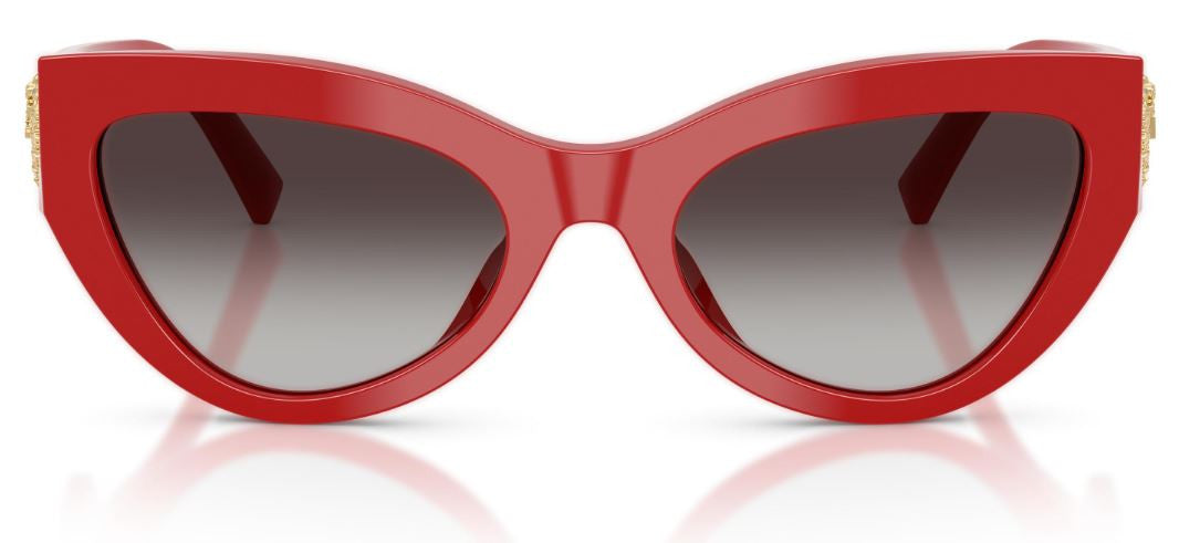 Gafas de Sol Dolce & Gabbana DG4536