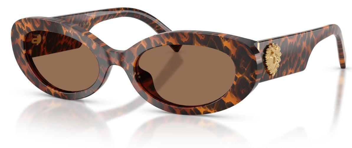 Gafas de Sol Dolce & Gabbana DG4537