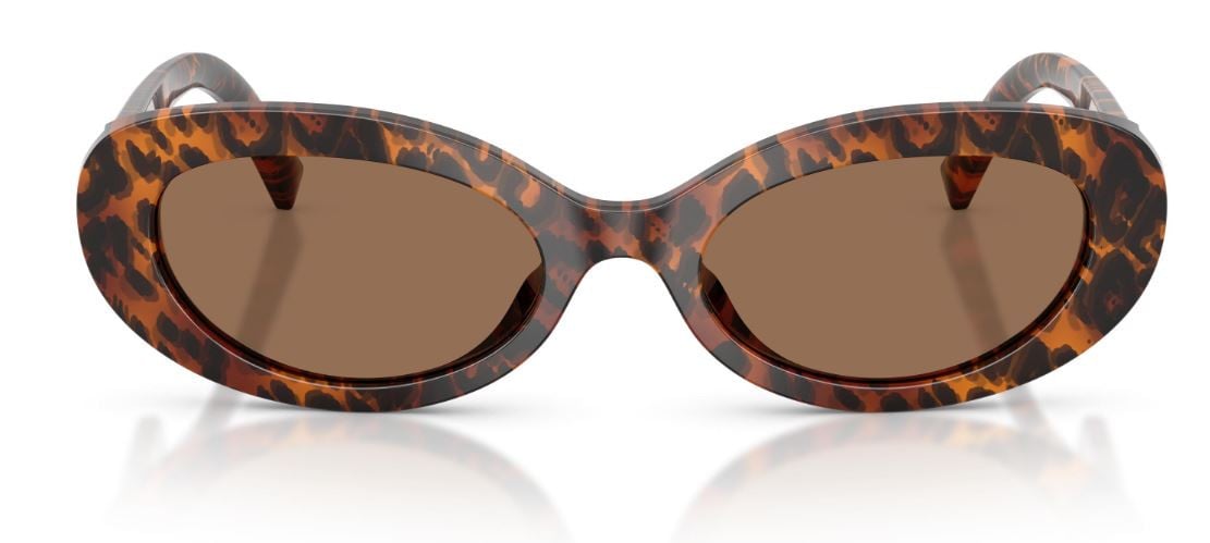 Gafas de Sol Dolce & Gabbana DG4537