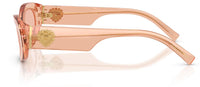 Gafas de Sol Dolce & Gabbana DG4537
