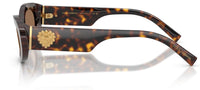Gafas de Sol Dolce & Gabbana DG4537