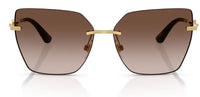 Dolce & Gabbana DG2321 Sunglasses