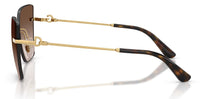 Dolce & Gabbana DG2321 Sunglasses