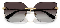 Dolce & Gabbana DG2321 Sunglasses