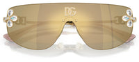 Gafas de Sol Dolce & Gabbana DG2333B
