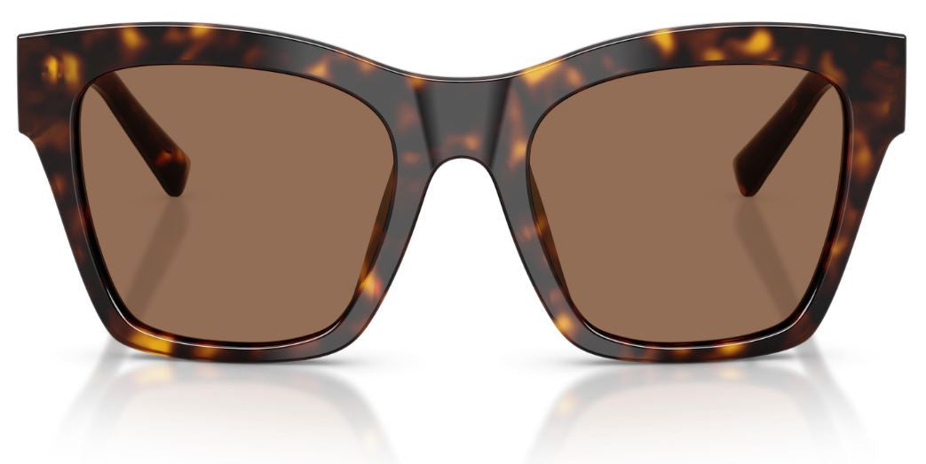 Gafas de sol Dolce & Gabbana DG4512