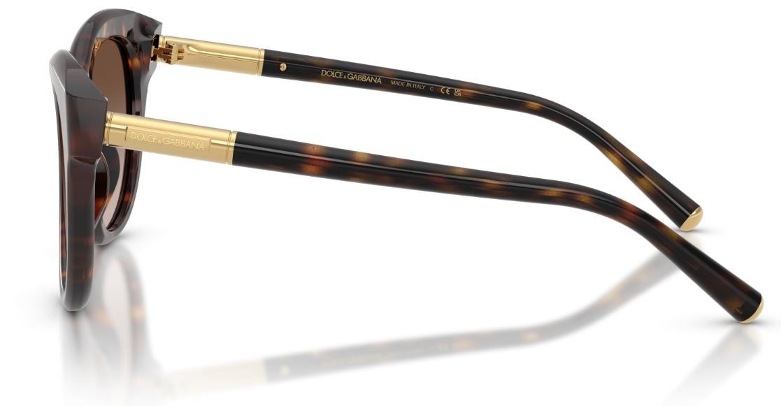 Dolce & Gabbana DG4518 Sunglasses