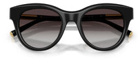 Dolce & Gabbana DG4518 Sunglasses