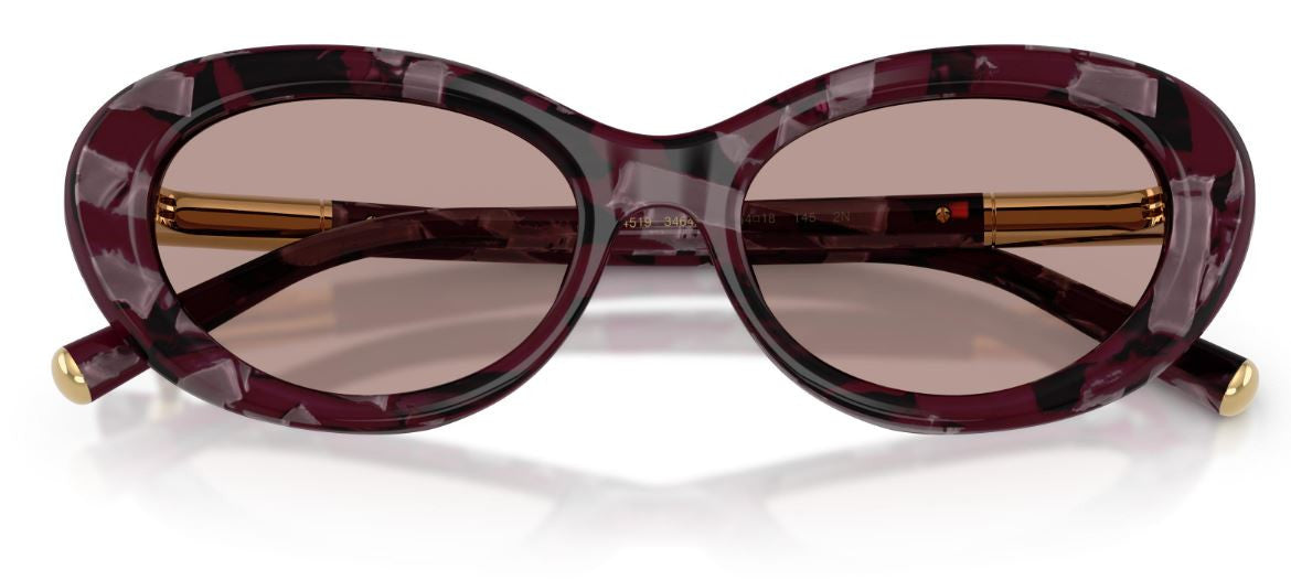 Dolce & Gabbana DG4519 Sunglasses