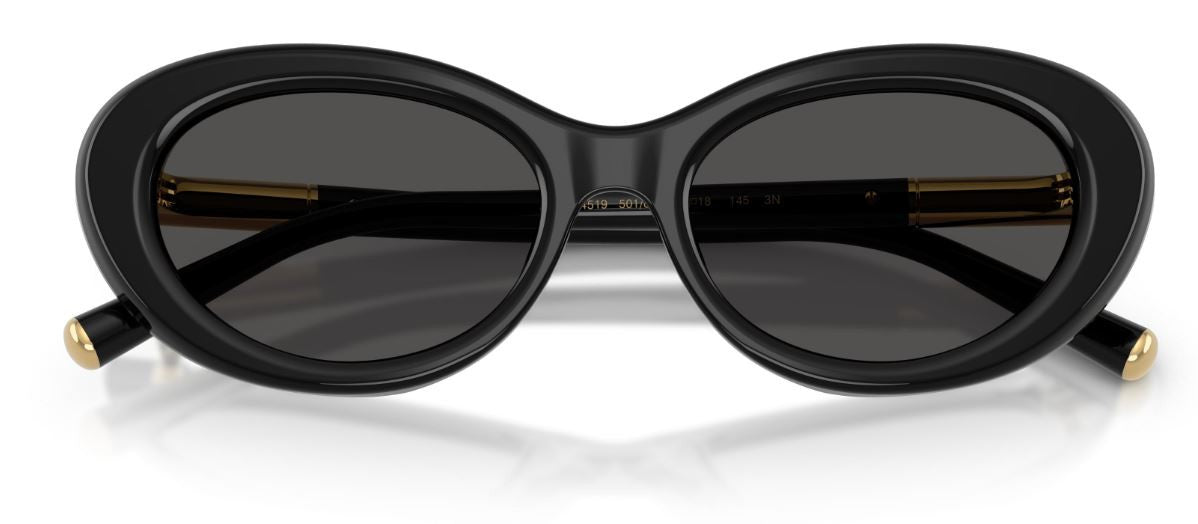 Dolce & Gabbana DG4519 Sunglasses