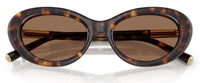 Dolce & Gabbana DG4519 Sunglasses