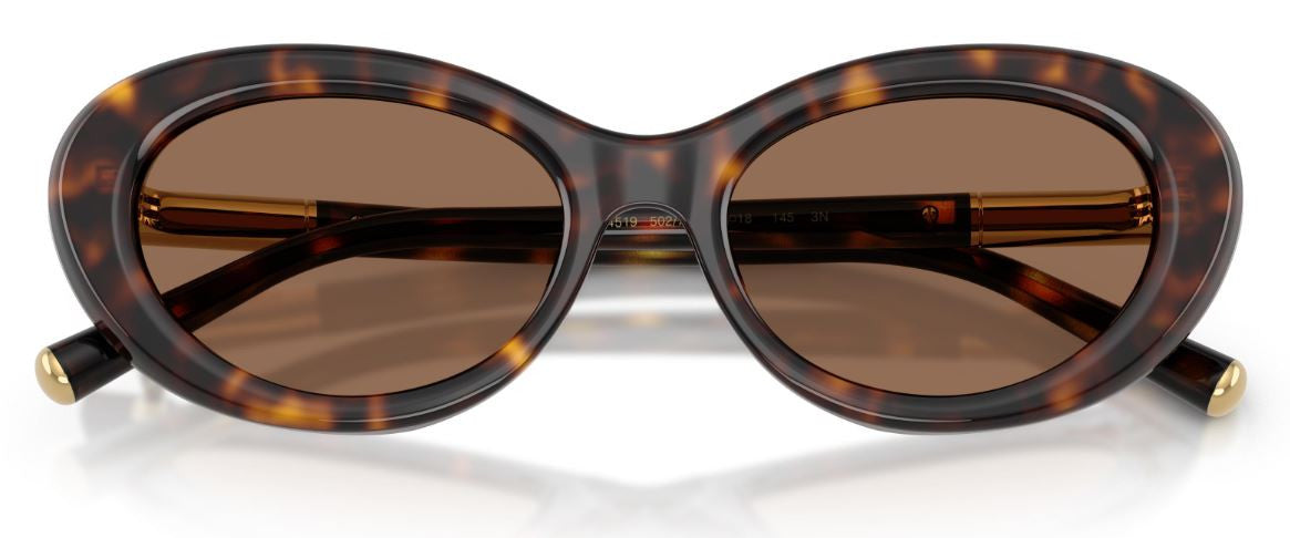 Dolce & Gabbana DG4519 Sunglasses