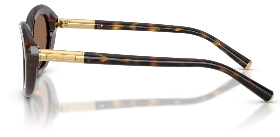 Dolce & Gabbana DG4519 Sunglasses