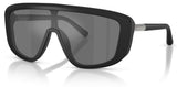 Dolce & Gabbana DG4520 Sunglasses