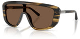 Dolce & Gabbana DG4520 Sunglasses