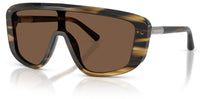 Dolce & Gabbana DG4520 Sunglasses