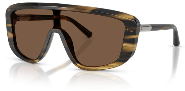 Dolce & Gabbana DG4520 Sunglasses