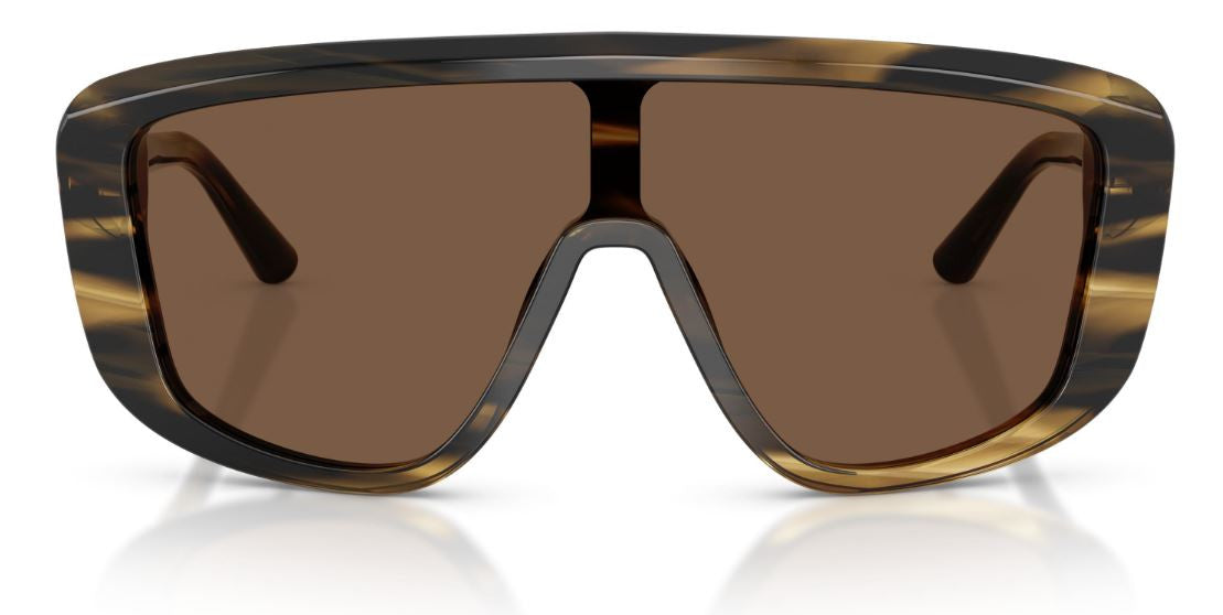 Dolce & Gabbana DG4520 Sunglasses
