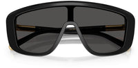 Dolce & Gabbana DG4520 Sunglasses