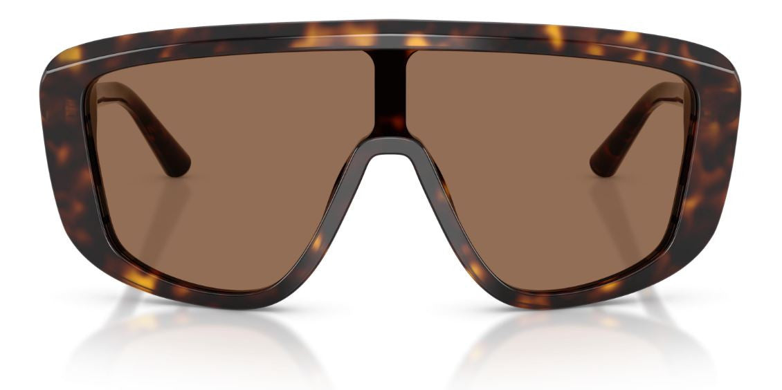 Dolce & Gabbana DG4520 Sunglasses