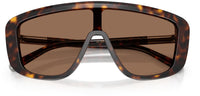 Dolce & Gabbana DG4520 Sunglasses