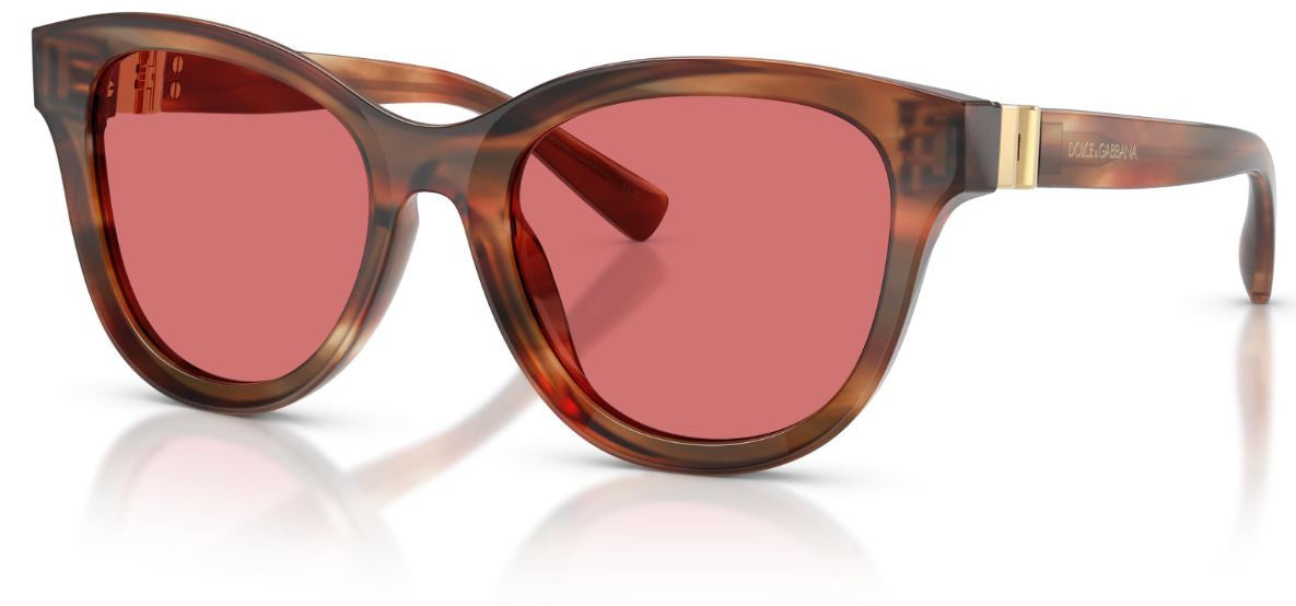 Gafas de sol Dolce & Gabbana DG4533